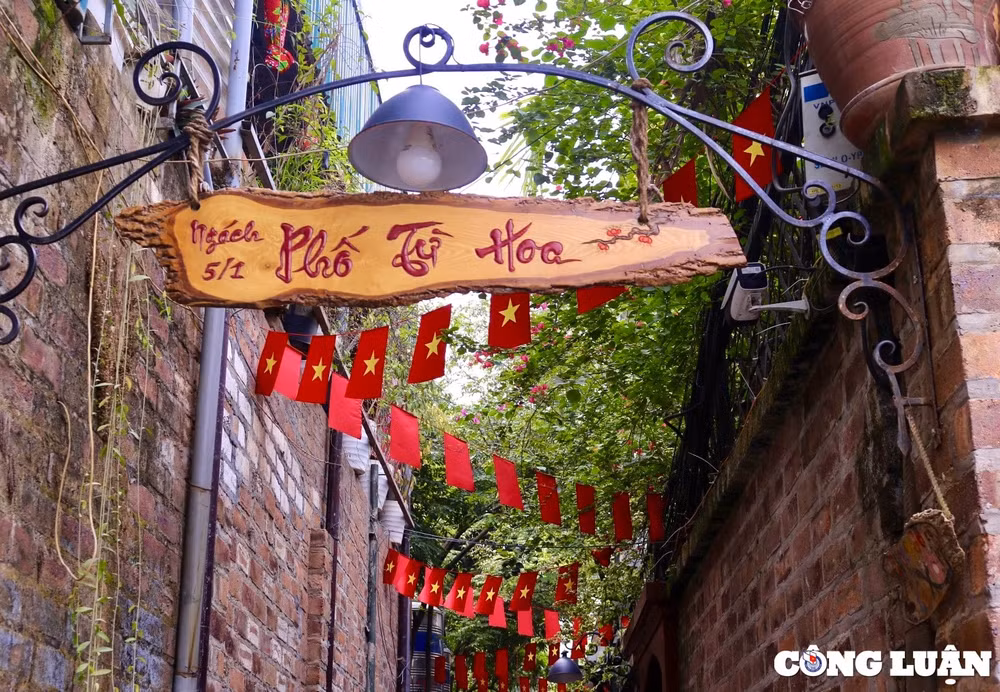 an tuong ngo cong vom giua long thu do ha noi hinh 8