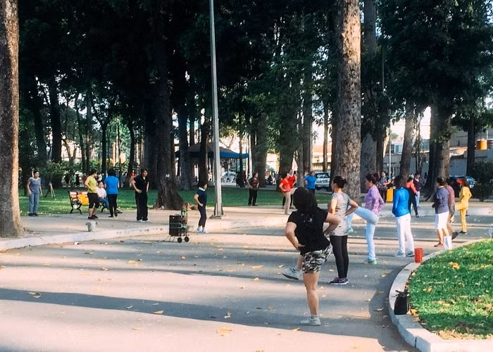 tp hcm lap de an de phat trien cong vien va cay xanh cong cong hinh 1