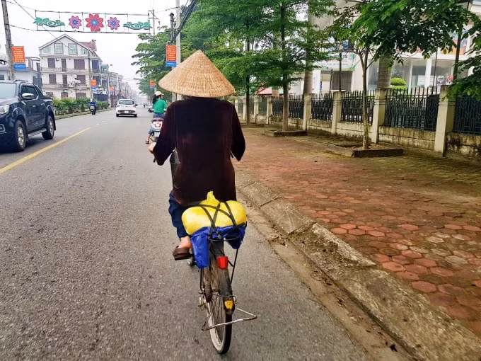 Chương trình 