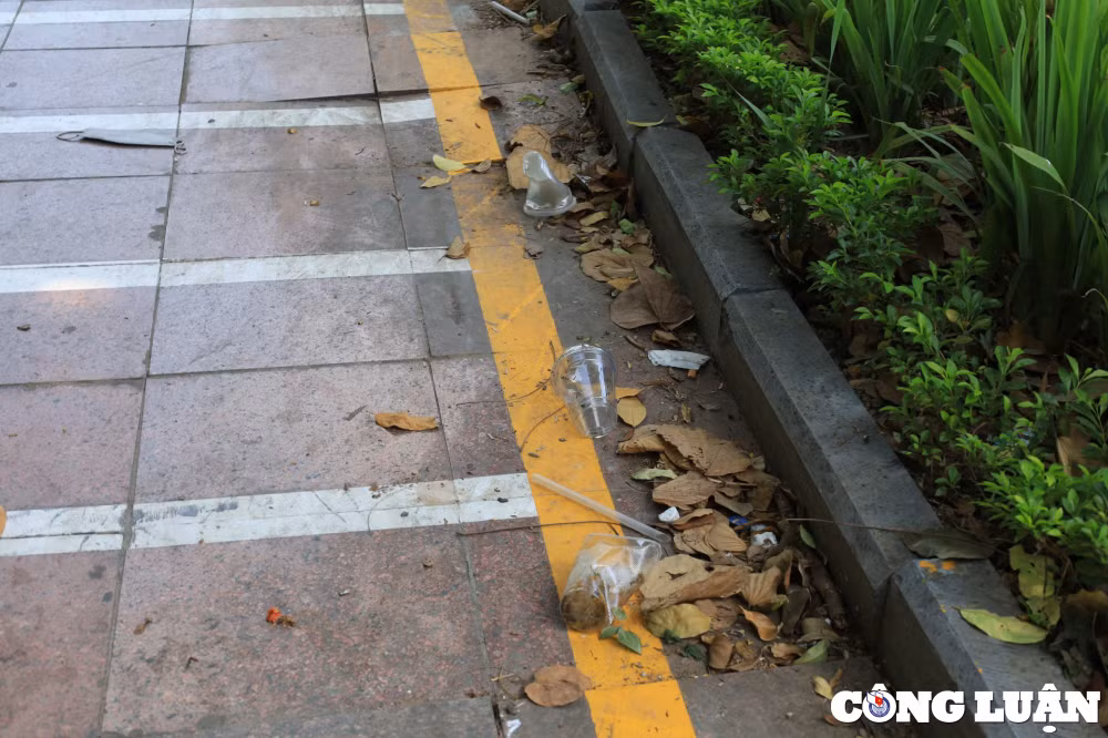 ha noi lo hen tram xe dien cong cong bo khong nhech nhac hinh 8