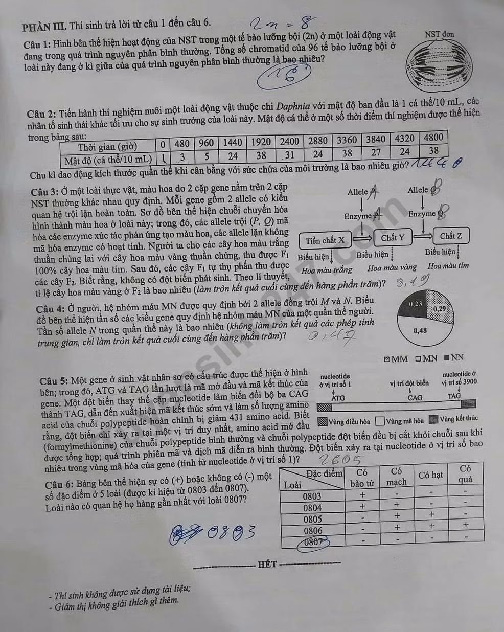 de-thi-tot-nghiep-thpt-mon-sinh-ma-29-4-result.jpg