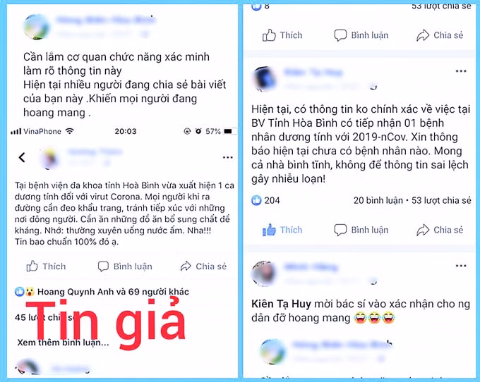 tingia_mo