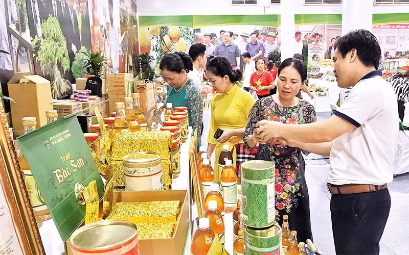 nhieu tinh thanh pho da khai thac duoc tiem nang the manh de phat trien dac san dia phuong hinh 1