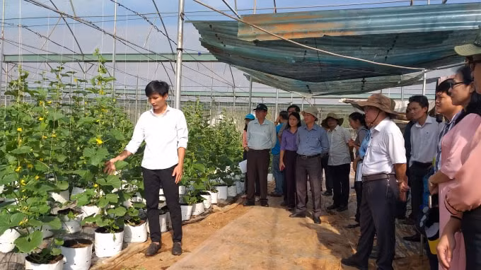 Đội ngũ tuyên truyền viên chuyên sâu tỉnh Bà Rịa - Vũng Tàu tham quan mô hình sản xuất rau ứng dụng công nghệ cao của Công ty Vương Huy tại xã Xà Bang, huyện Châu Đức- ảnh :Lâm Quân