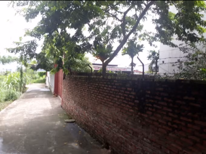 ...Và nhà xưởng xây dựng kiên cố trên đất nông nghiệp