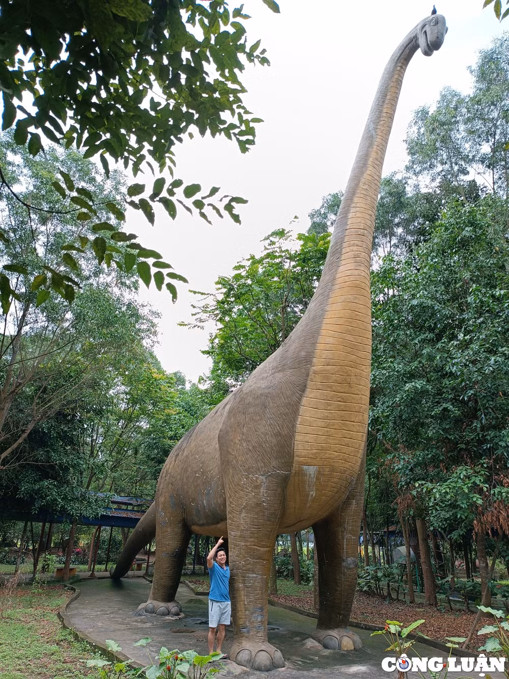 dao ngoc xanh hut khach du lich trong dip nghi 30 4 va 1 5 hinh 12