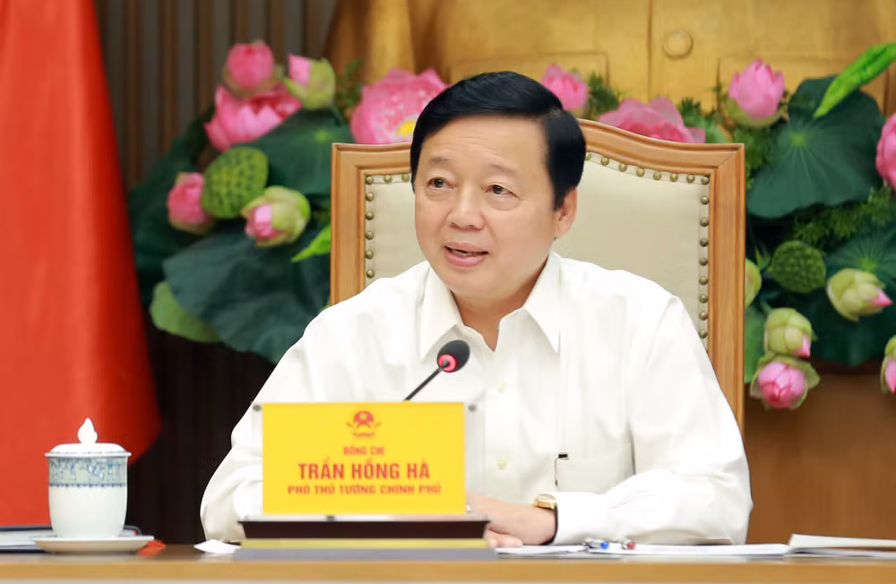 pho thu tuong tran hong ha khong the cu hop nhieu nhung thi truong bat dong san van vuong mac hinh 1
