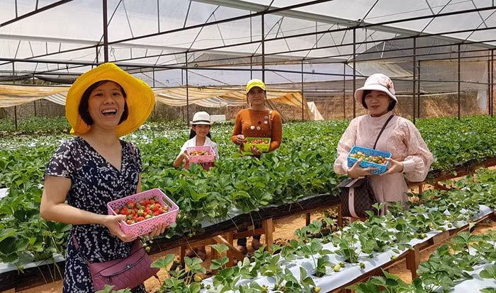 thuc day phat trien du lich nong nghiep viet nam hinh 2