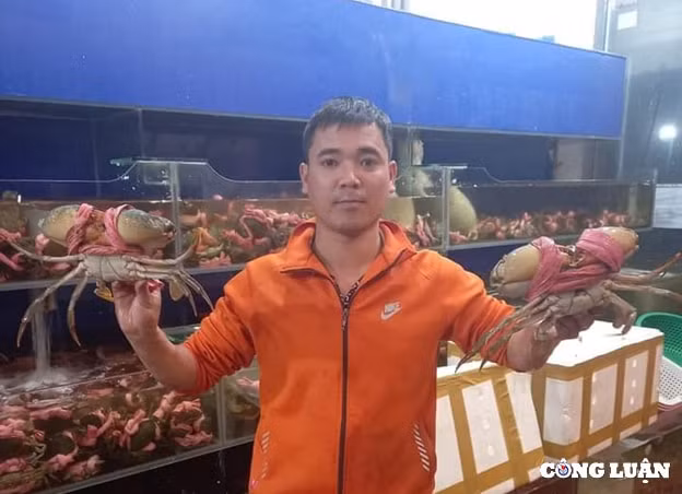 gia cua ca mau ghe xanh tang cao dip nghi le hinh 1