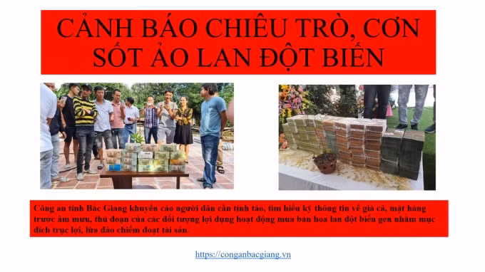 canhbao