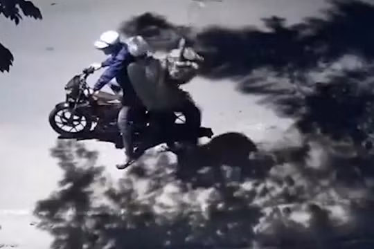 Camera ghi cảnh hai thanh niên trộm mai trước cửa nhà dân
