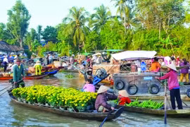 Tết cũ ở miệt Hậu Giang