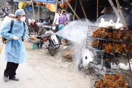 Thủ tướng Chính phủ yêu cầu không để dịch chồng dịch