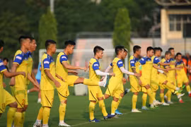 Kế hoạch hoạt động của các ĐTQG trong năm 2020 sẽ được chủ động điều chỉnh để phù hợp