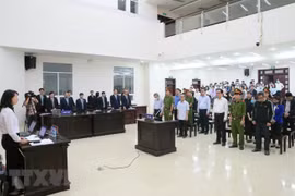 Xét xử đại án BIDV: Cựu Phó Tổng Giám đốc BIDV lĩnh 8 năm tù