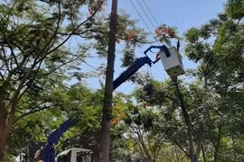Ngành điện Thừa Thiên Huế nỗ lực thực hiện “nhiệm vụ kép”