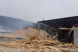 Công ty TNHH Phát triển Đông Hồi được "cấp phép một đằng, hoạt động một nẻo"!