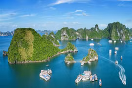 Phê duyệt nhiệm vụ lập quy hoạch hai tỉnh Quảng Ninh và Bình Dương