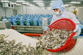 Hậu Covid19, Tôm Việt Nam ‘chớp thời cơ’ tăng xuất khẩu