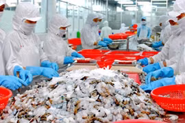 VASEP đề xuất điều chỉnh mức đánh giá rủi ro tín dụng cao đối với nhóm ngành hàng thuỷ sản