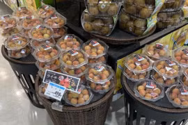 Vải thiều Bắc Giang 'cháy hàng' tại Nhật, giá bán lẻ tới 500.000 đồng/kg