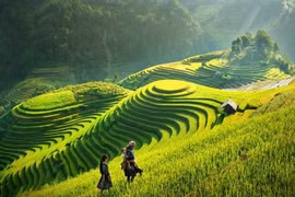 Xây dựng tỉnh Sơn La phát triển xanh, nhanh và bền vững