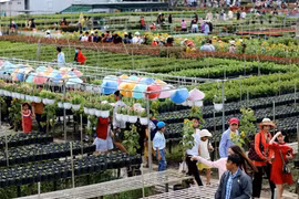 Du lịch Sa Đéc và nhu cầu hình thành những điểm giải trí mới