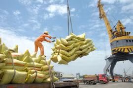 Thủ tướng cho phép xuất khẩu gạo trở lại ngay trong tháng 4