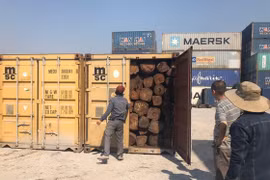 Phát hiện hàng chục container nghi gỗ giáng hương nhập lậu 