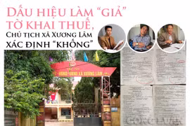 Cán bộ xã Xương Lâm lập “khống” tờ khai thuế!
