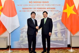 Phó Thủ tướng Phạm Bình Minh hội đàm với Bộ trưởng Ngoại giao Nhật Bản Motegi Toshimitsu