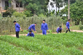 Khởi tố công an nhận tiền để ‘chạy’ hoãn cai nghiện