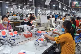 Công tác an toàn vệ sinh lao động tỉnh Thái Bình có chuyến biến tích cực
