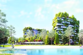 Flamingo Group: Từ nhà tiên phong BĐS nghỉ dưỡng xanh đến khát vọng nuôi dưỡng nghệ thuật