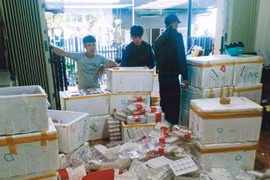 Thu giữ 370kg dâu tây Trung Quốc gắn mác Đà Lạt sắp tuồn ra chợ