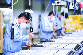 Chống suy thoái kinh tế: Nhanh với chứ, vội vàng lên với chứ
