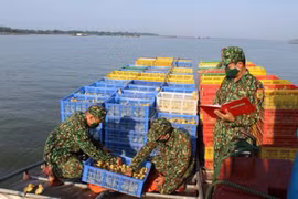 Phát hiện người Trung Quốc tuồn vịt giống lậu sang Việt Nam