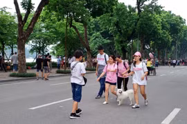 Hà Nội: Không tổ chức phố đi bộ trong dịp Tết Canh Tý 2020