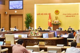 Ủy ban Thường vụ Quốc hội phê chuẩn nhân sự Hội đồng nhân dân