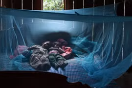 'Bỏ túi' cách phòng chống virus Zika của WHO