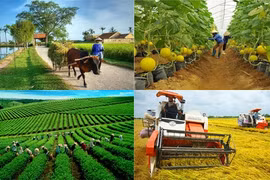 Nông nghiệp về đích thành công