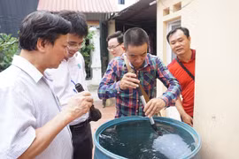 Hà Nội phát hiện 868 ca mắc sốt xuất huyết