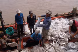Bạc Liêu: Kỷ luật Giám đốc cảng cá chi khống tiền tiếp khách