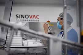 Vắc xin Covid-19 của Sinovac kích thích cơ chế miễn dịch hoạt động nhanh hơn