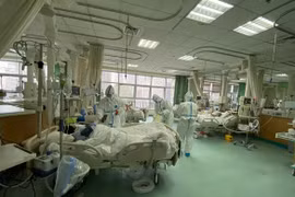 Trung Quốc: 425 người chết vì virus corona
