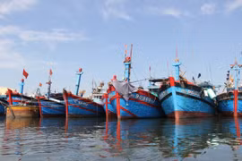 Thủ tướng Chính phủ yêu cầu chủ động ứng phó bão số 5
