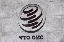 WTO phán quyết hành động áp thuế Trung Quốc của Mỹ là sai quy tắc