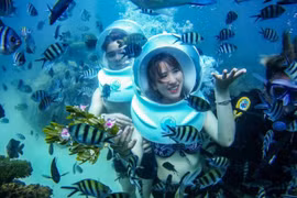 Shark Nguyễn Thanh Việt bắt tay Seaworld đánh thức tiềm năng dịch vụ biển Phú Quốc