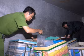 Bạc Liêu: Phát hiện xe tải vận chuyển hơn 1,1 tấn tôm chứa tạp chất