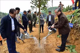 Thường trực Ban Bí thư Trần Quốc Vượng phát động Tết trồng cây tại Tuyên Quang